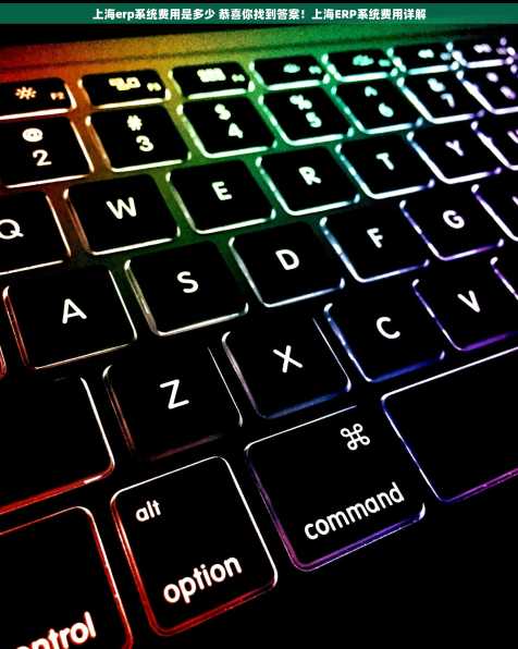 上海erp系统费用是多少 恭喜你找到答案！上海ERP系统费用详解