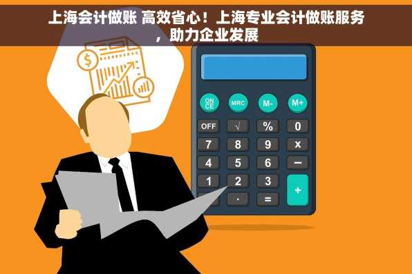 上海会计做账 高效省心！上海专业会计做账服务，助力企业发展