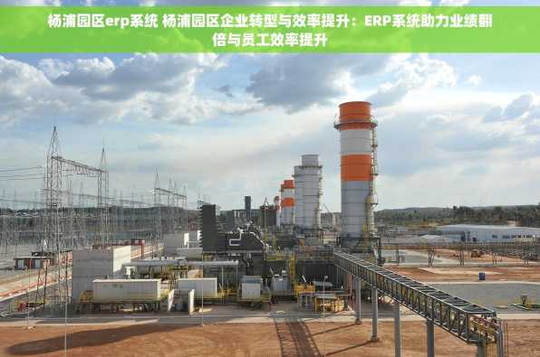 杨浦园区erp系统 杨浦园区企业转型与效率提升：ERP系统助力业绩翻倍与员工效率提升