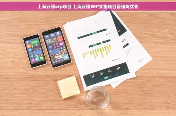 上海云端erp项目 上海云端ERP实施项目管理与优化