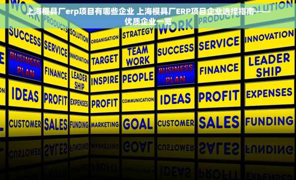 上海模具厂erp项目有哪些企业 上海模具厂ERP项目企业选择指南——优质企业一览