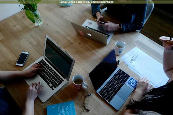 上海外采erp价格查询 上海制造企业福音：智能ERP系统助力生产效率跃升