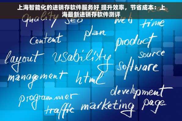 上海智能化的进销存软件服务好 提升效率，节省成本：上海最新进销存软件测评