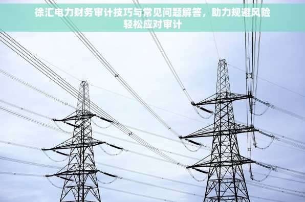 徐汇电力财务审计技巧与常见问题解答，助力规避风险轻松应对审计