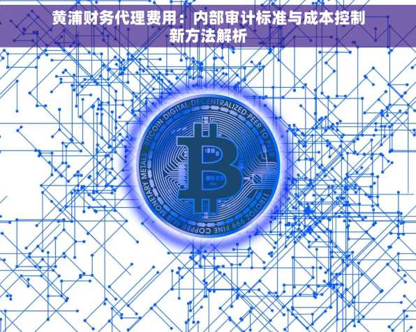 黄浦财务代理费用：内部审计标准与成本控制新方法解析