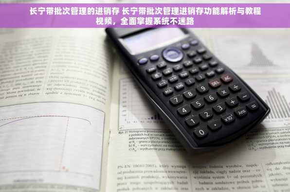 长宁带批次管理的进销存 长宁带批次管理进销存功能解析与教程视频，全面掌握系统不迷路