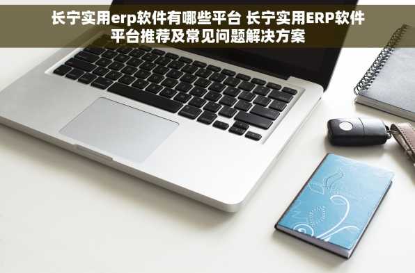 长宁实用erp软件有哪些平台 长宁实用ERP软件平台推荐及常见问题解决方案