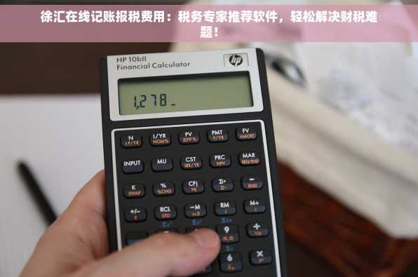 徐汇在线记账报税费用：税务专家推荐软件，轻松解决财税难题！