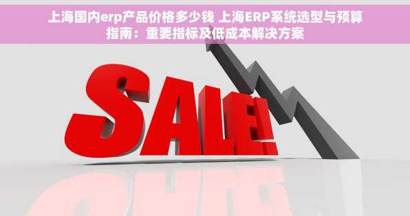 上海国内erp产品价格多少钱 上海ERP系统选型与预算指南：重要指标及低成本解决方案