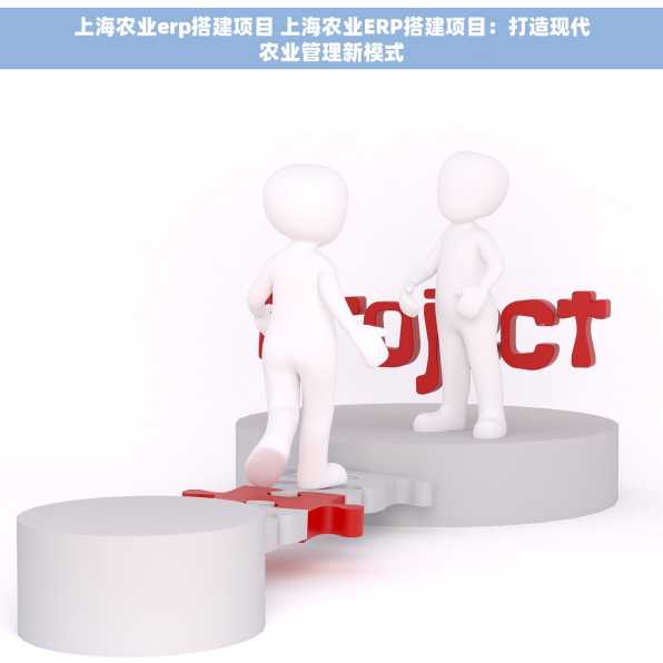 上海农业erp搭建项目 上海农业ERP搭建项目：打造现代农业管理新模式