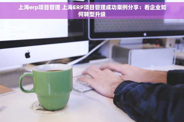 上海erp项目管理 上海ERP项目管理成功案例分享：看企业如何转型升级