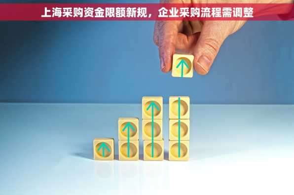 上海采购资金限额新规，企业采购流程需调整