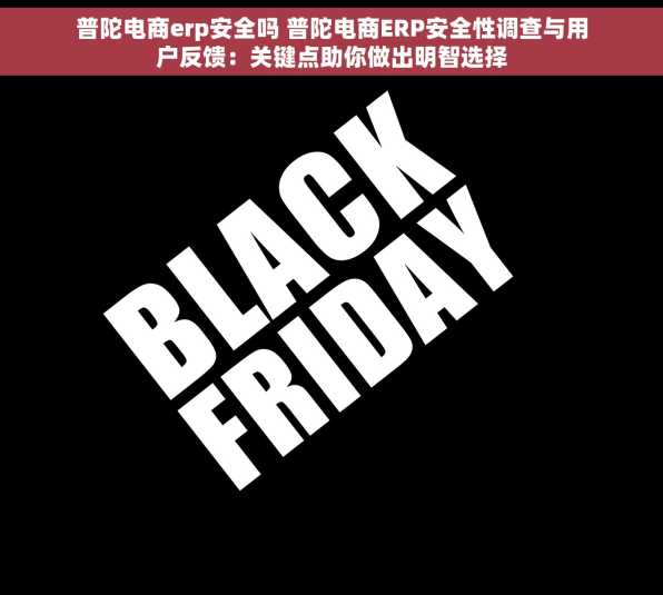 普陀电商erp安全吗 普陀电商ERP安全性调查与用户反馈：关键点助你做出明智选择