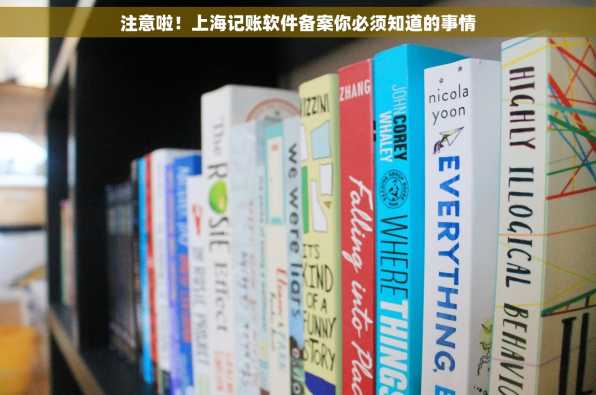 注意啦！上海记账软件备案你必须知道的事情