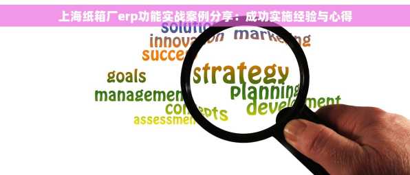 上海纸箱厂erp功能实战案例分享：成功实施经验与心得