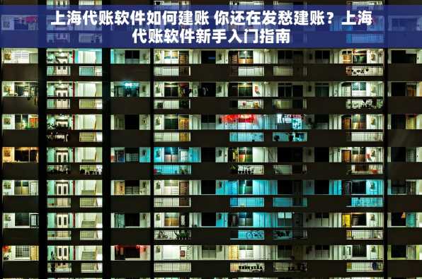 上海代账软件如何建账 你还在发愁建账？上海代账软件新手入门指南