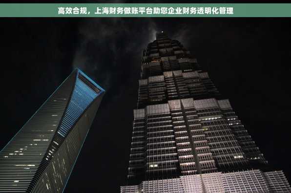 高效合规，上海财务做账平台助您企业财务透明化管理