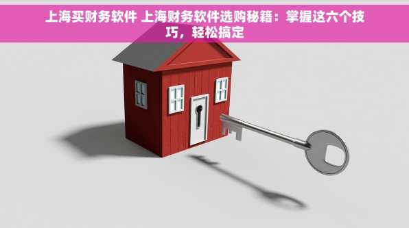 上海买财务软件 上海财务软件选购秘籍：掌握这六个技巧，轻松搞定