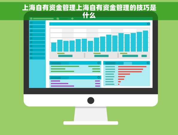 上海自有资金管理上海自有资金管理的技巧是什么