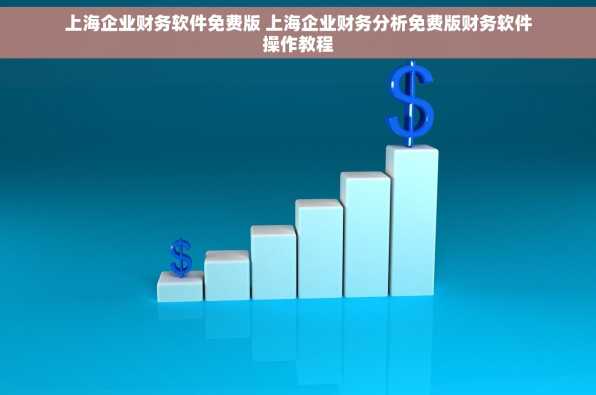 上海企业财务软件免费版 上海企业财务分析免费版财务软件操作教程