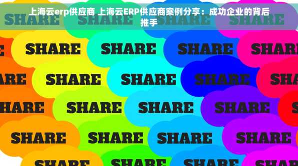 上海云erp供应商 上海云ERP供应商案例分享：成功企业的背后推手