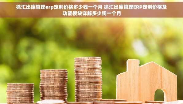 徐汇出库管理erp定制价格多少钱一个月 徐汇出库管理ERP定制价格及功能模块详解多少钱一个月