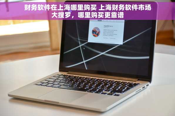 财务软件在上海哪里购买 上海财务软件市场大搜罗，哪里购买更靠谱