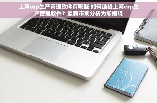 上海erp生产管理软件有哪些 如何选择上海erp生产管理软件？最新市场分析为您揭晓