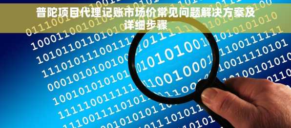 普陀项目代理记账市场价常见问题解决方案及详细步骤