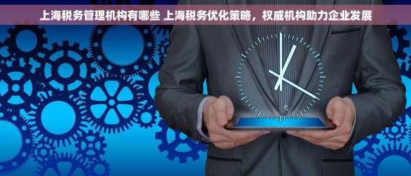 上海税务管理机构有哪些 上海税务优化策略，权威机构助力企业发展
