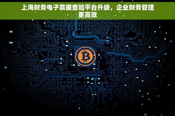 上海财务电子票据查验平台升级，企业财务管理更高效