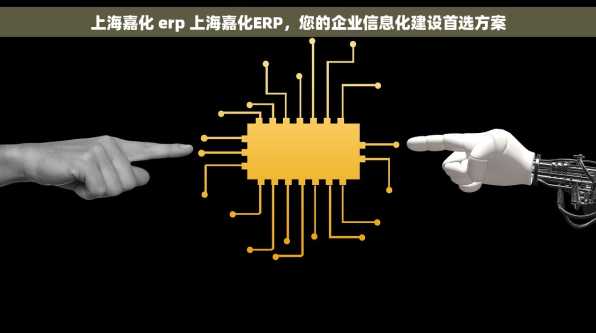 上海嘉化 erp 上海嘉化ERP，您的企业信息化建设首选方案