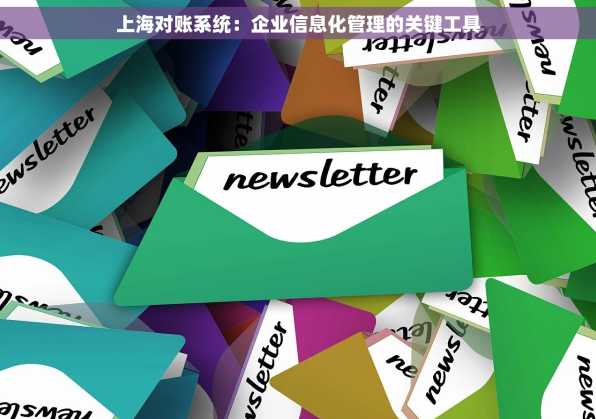 上海对账系统：企业信息化管理的关键工具