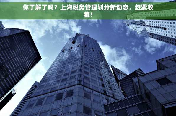 你了解了吗？上海税务管理划分新动态，赶紧收藏！