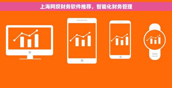 上海阿坝财务软件推荐，智能化财务管理