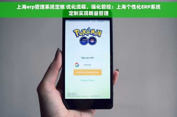 上海erp管理系统定做 优化流程，强化管控：上海个性化ERP系统定制实现精益管理