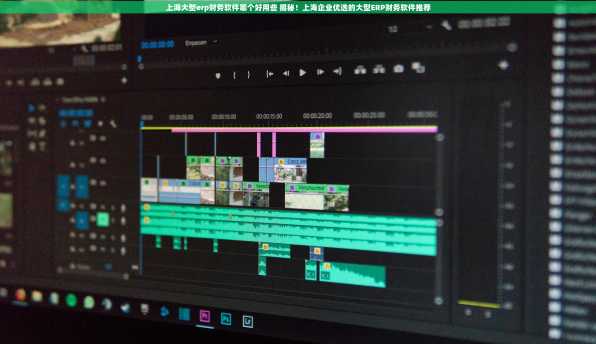 上海大型erp财务软件哪个好用些 揭秘！上海企业优选的大型ERP财务软件推荐