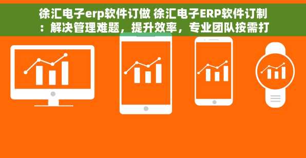 徐汇电子erp软件订做 徐汇电子ERP软件订制：解决管理难题，提升效率，专业团队按需打造