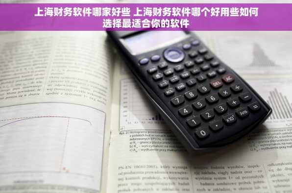 上海财务软件哪家好些 上海财务软件哪个好用些如何选择最适合你的软件