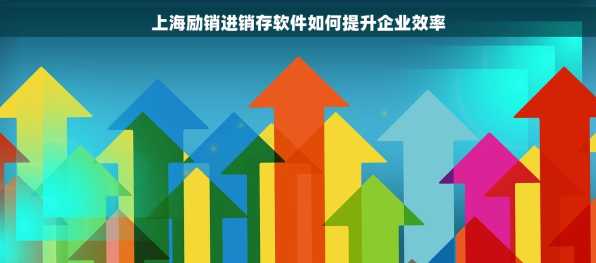 上海励销进销存软件如何提升企业效率