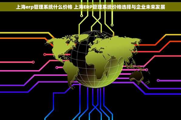 上海erp管理系统什么价格 上海ERP管理系统价格选择与企业未来发展