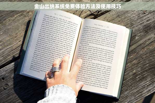 金山出纳系统免费体验方法及使用技巧