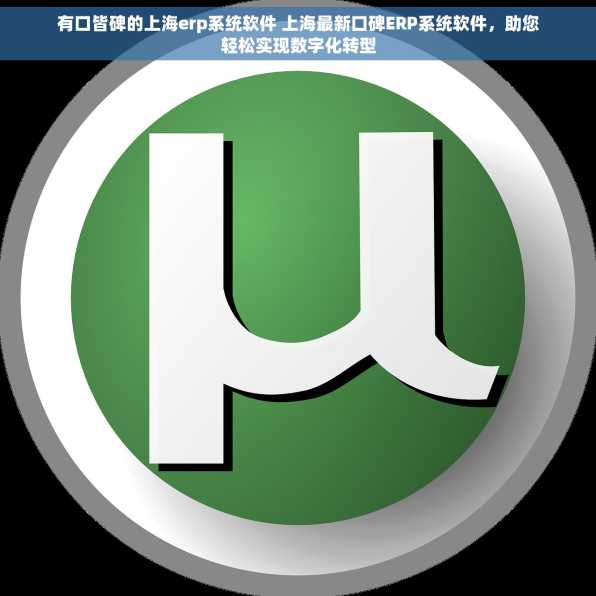 有口皆碑的上海erp系统软件 上海最新口碑ERP系统软件，助您轻松实现数字化转型