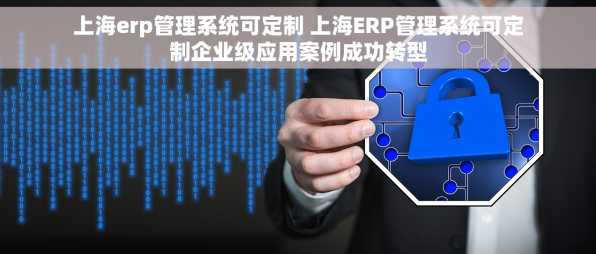 上海erp管理系统可定制 上海ERP管理系统可定制企业级应用案例成功转型