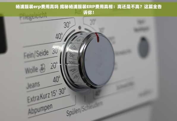 杨浦服装erp费用高吗 揭秘杨浦服装ERP费用真相：高还是不高？这篇全告诉你！