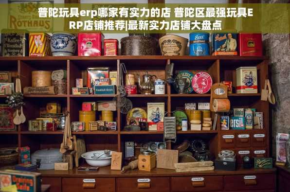 普陀玩具erp哪家有实力的店 普陀区最强玩具ERP店铺推荐|最新实力店铺大盘点