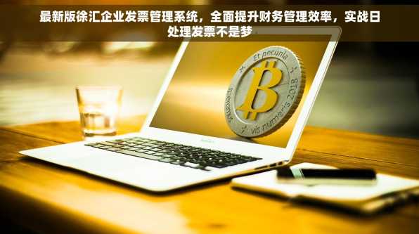 最新版徐汇企业发票管理系统，全面提升财务管理效率，实战日处理发票不是梦
