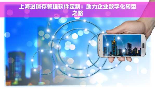 上海进销存管理软件定制：助力企业数字化转型之路