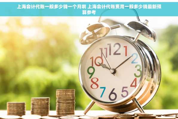 上海会计代账一般多少钱一个月啊 上海会计代账费用一般多少钱最新预算参考