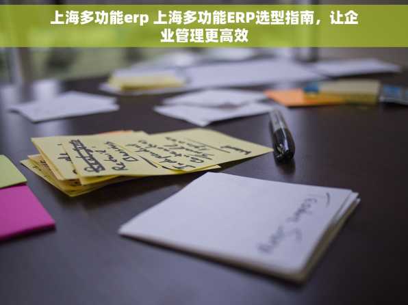 上海多功能erp 上海多功能ERP选型指南，让企业管理更高效